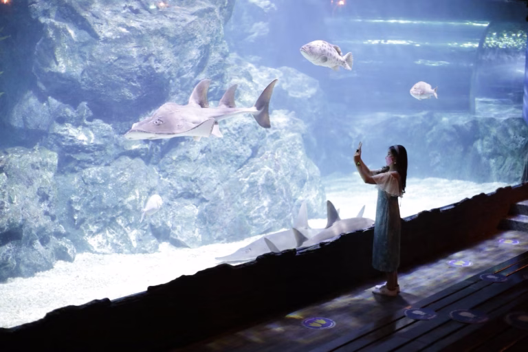SEA Life Bangkok Ocean World