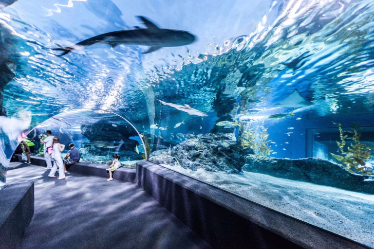 SEA Life Bangkok Ocean World
