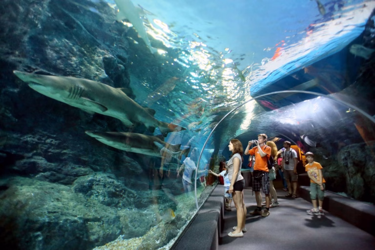 SEA Life Bangkok Ocean World