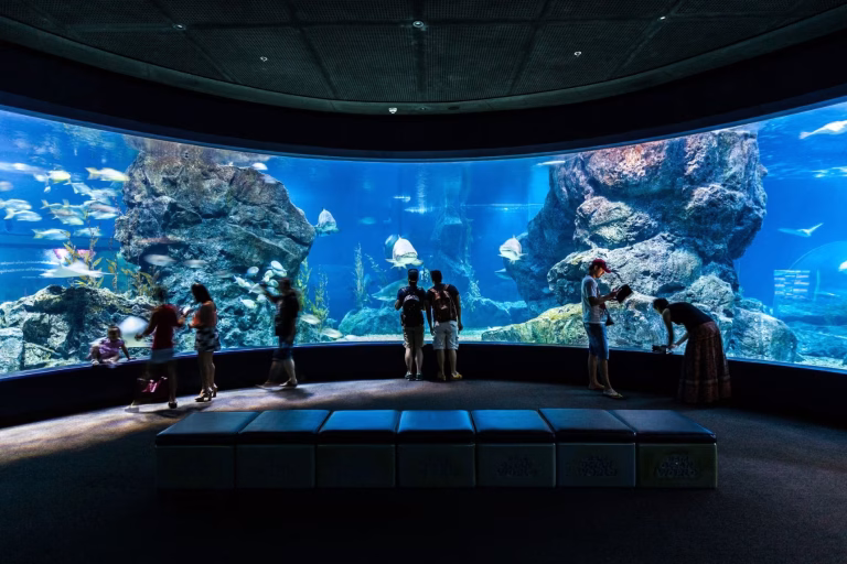 SEA Life Bangkok Ocean World